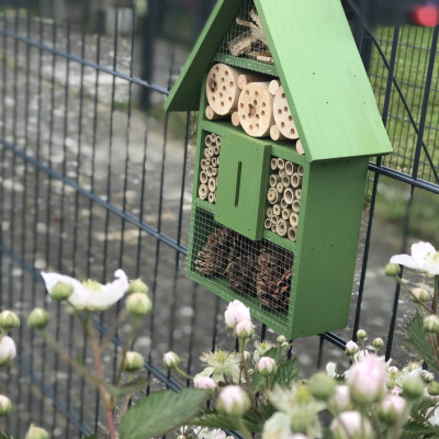 Insektenhotel